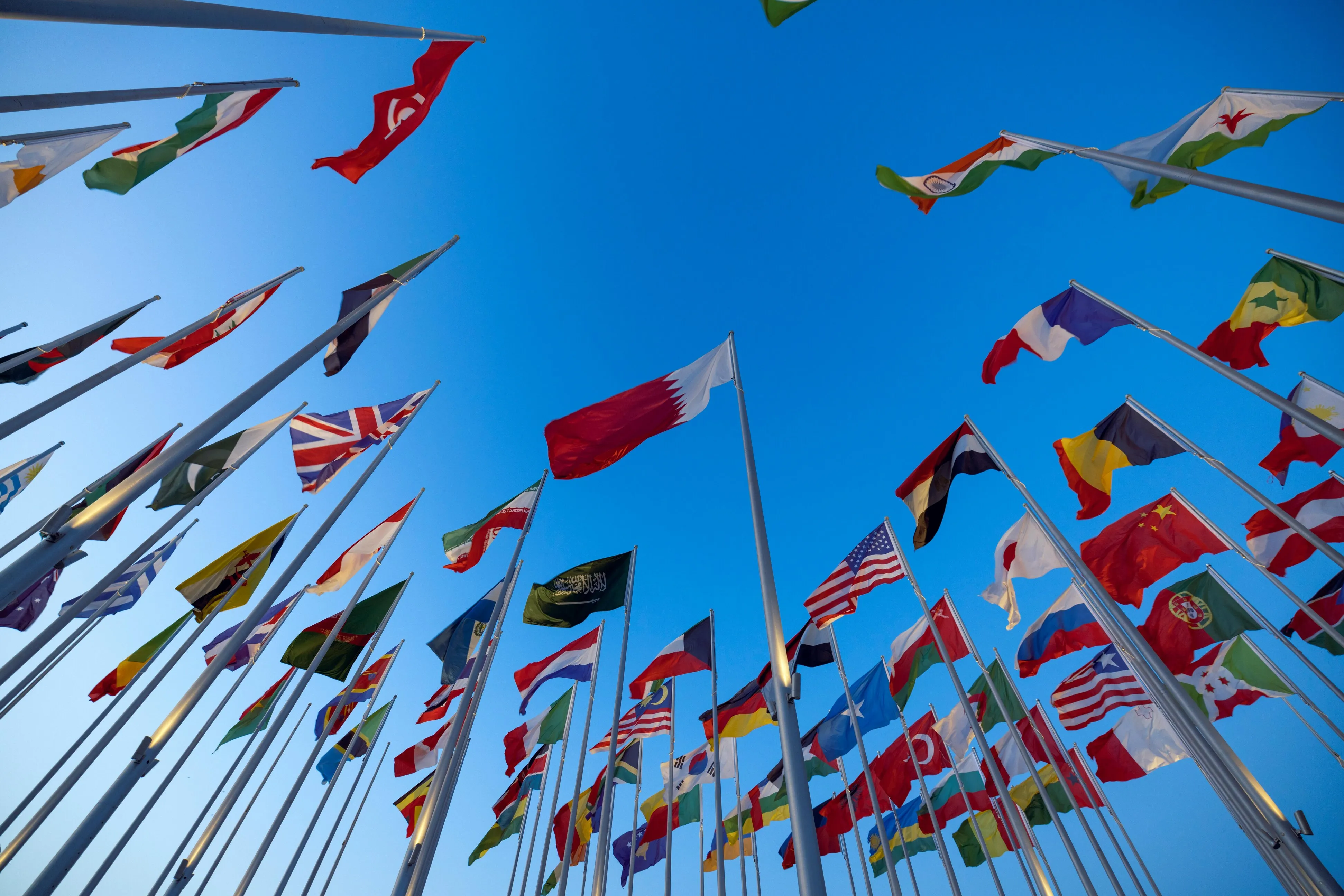 Flags viewed from a low-angle perspective