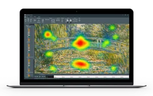 Mangold Vision Eye Tracking Software