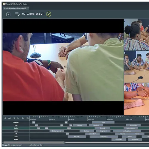 VideoSyncPro software in problem-solving research
